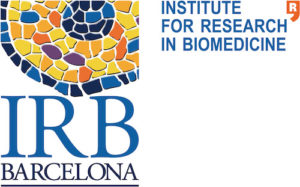 Interview with IRB Barcelona